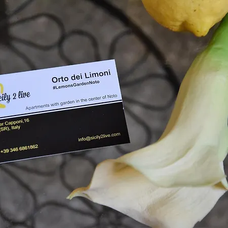 Гостевой дом Orto Dei Limoni *